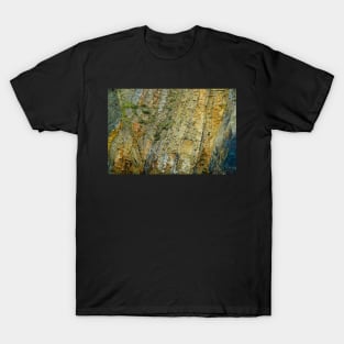 Cliff Rock Natural Stone Texture T-Shirt